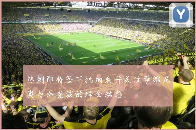 热刺即将签下托纳利并关注萨维尼奥与加克波的转会动态